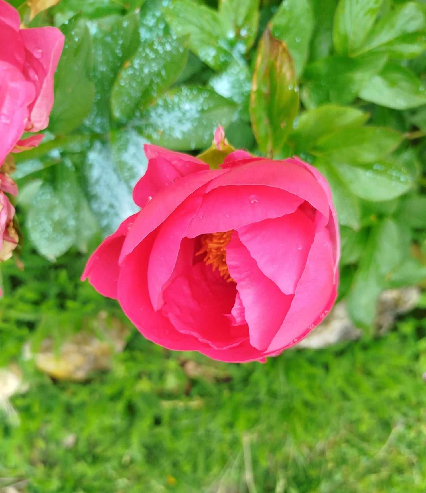 Gite Des Fours Agonges 外观 照片