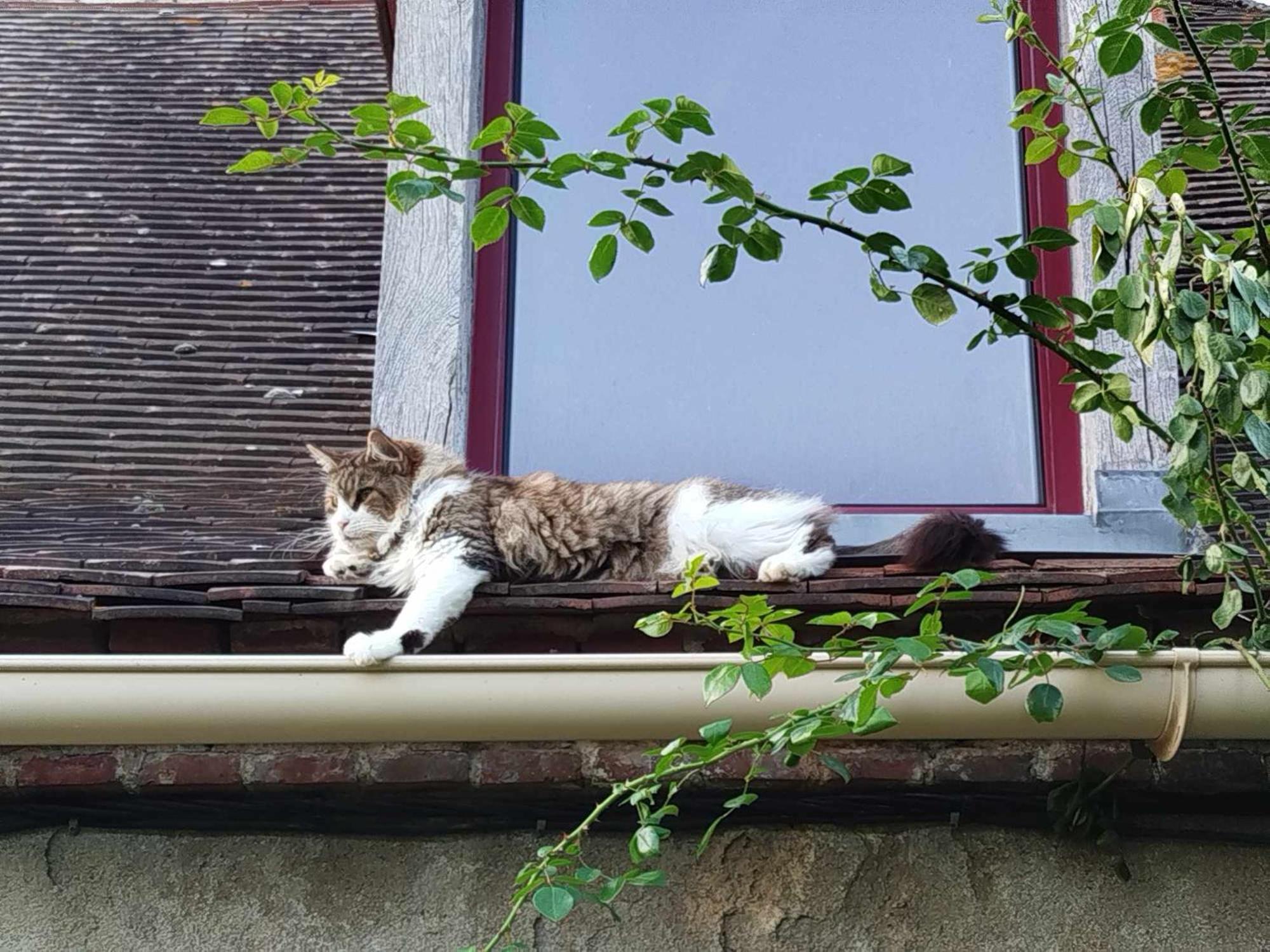 Gite Des Fours Agonges 外观 照片